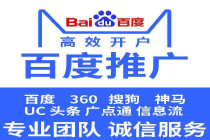 某某SEM服务公司成功案例：从数据出发的营销策略